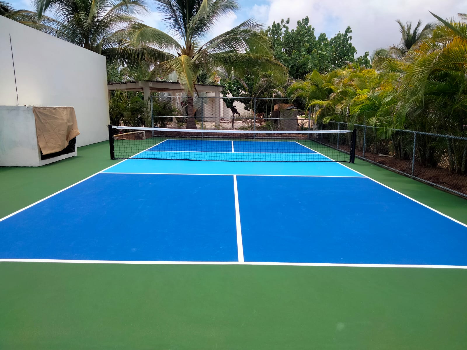 Cancha de pickleball profesional en club premium de Cancún con palmeras tropicales del Caribe Mexicano — construcción CanchasdePickleball.mx